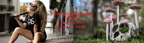 скорость Магас