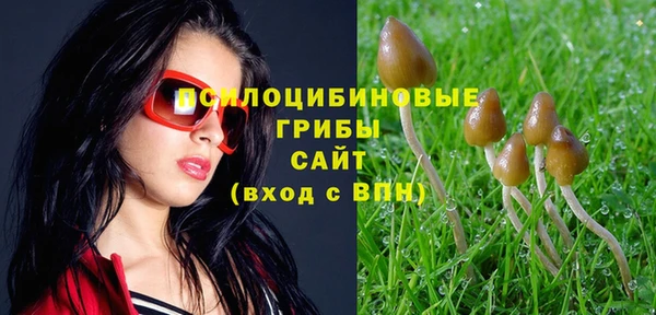 mdma Мегион