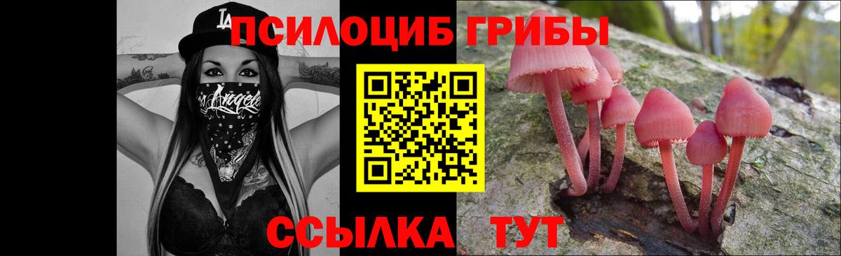Галлюциногенные грибы Psilocybe Серпухов